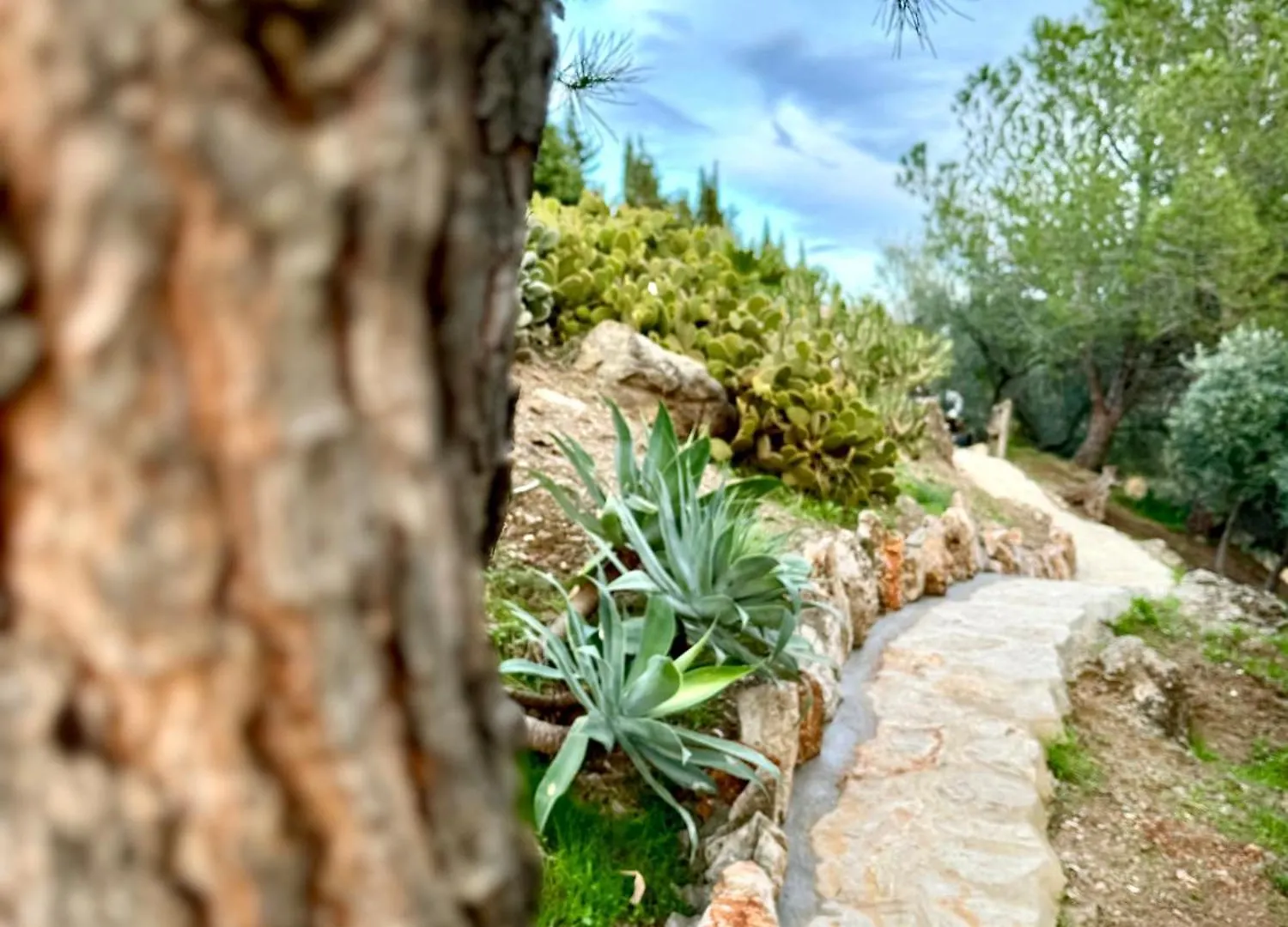 Romantisches Apartment, Finca Nahe Malaga Riogordo 0*,  Spain